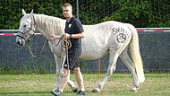 Pferdelotto beim SV Hut Coburg: Hier der Vorsitzende des Vereins, Georg Wegener, mit demConnemara-Pony „Rosé“