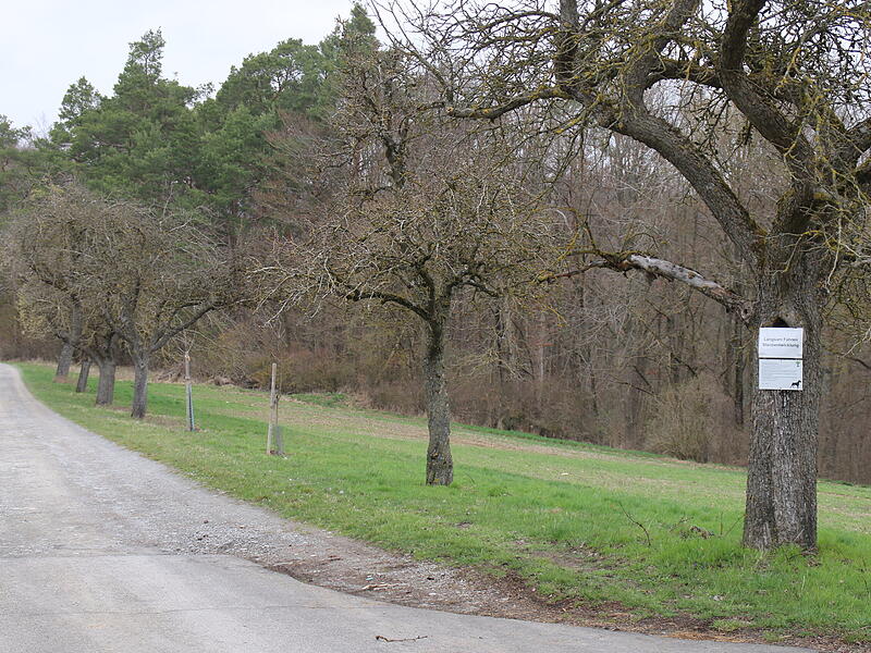 Streuobst Sulzthal Streuobst Sulzthal