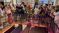 Frauen-Wrestling in Bamberg