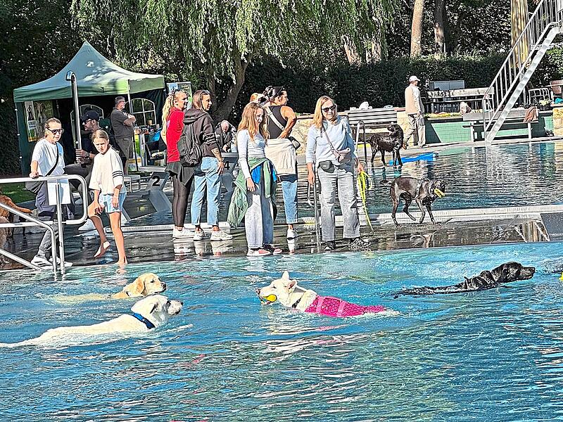 Zwei- und Vierbeiner haben ihren Spaß. Zwei- und Vierbeiner haben ihren Spaß.