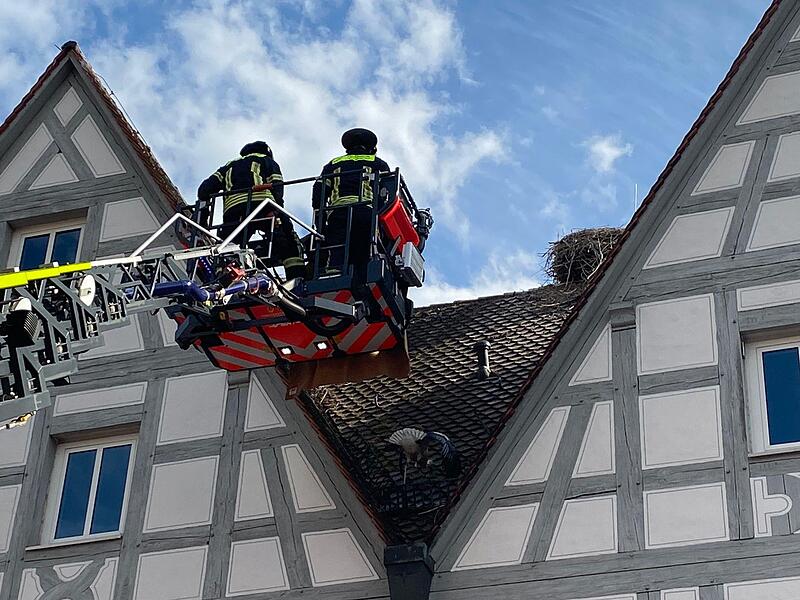 Behutsam nahmen die Feuerwehrleute Adebar junior vom Dach.