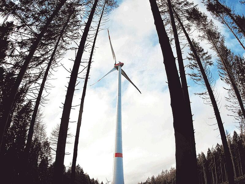 Foto Main-Post - 10869854