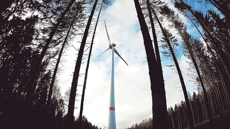 Foto Main-Post - 10869854