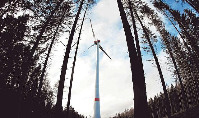 Foto Main-Post - 10869854 Foto Main-Post - 10869854