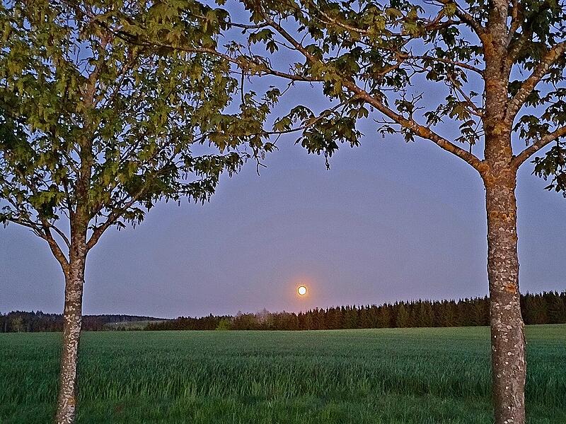 Leserbilder: Wenn der Himmel &uuml;ber Kronach bunt wirdLeserbilder: Wenn der Himmel &uuml;ber Kronach bunt wird