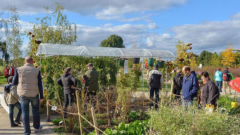 In verschiedenen Gartenparzellen erhielten Besucher Expertentipps. In verschiedenen Gartenparzellen erhielten Besucher Expertentipps.