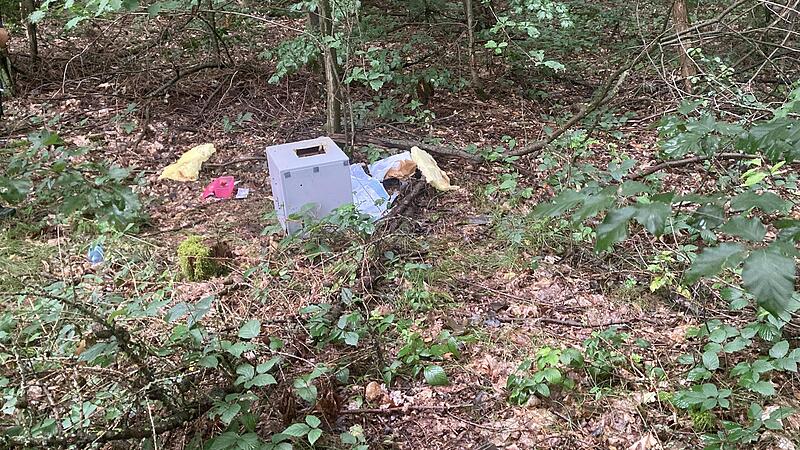 Der Tresor wurde in einem  Waldst&uuml;ck aufgefunden.