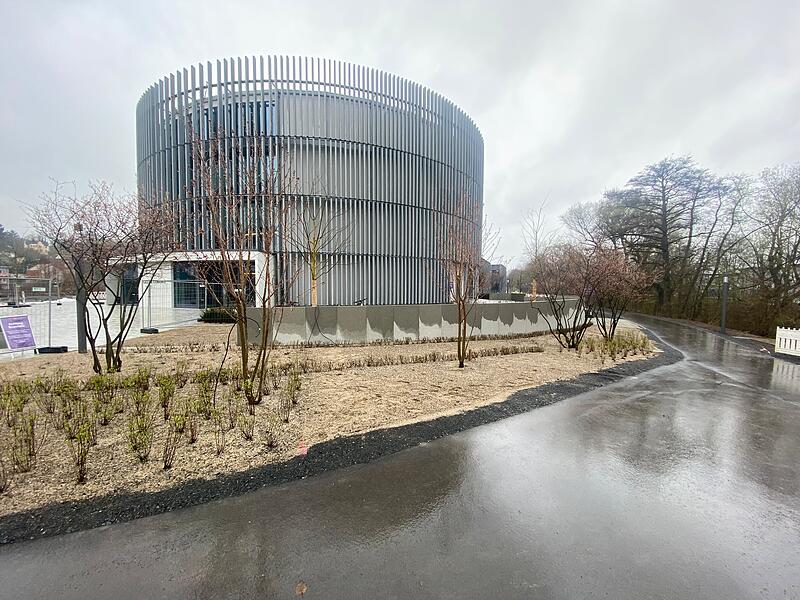 Die ersten Pflanzen vor dem Globe wurden gesetzt.