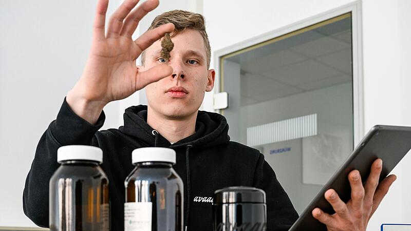 Calvin Gosselke ist einer von sechs Gründern und Gründerinnen eines Cannabis-Vereins in Würzburg.