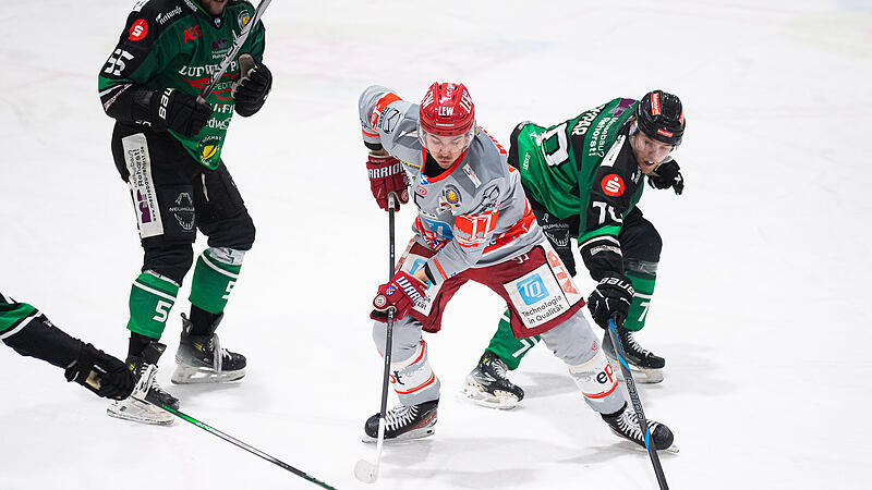 Wenn die H&ouml;chstadt Alligators wie hier im Februar 2025 am Dienstagabend wieder den EC Peiting empfangen, wird Patrik Rypar (re.) aussetzen m&uuml;ssen.