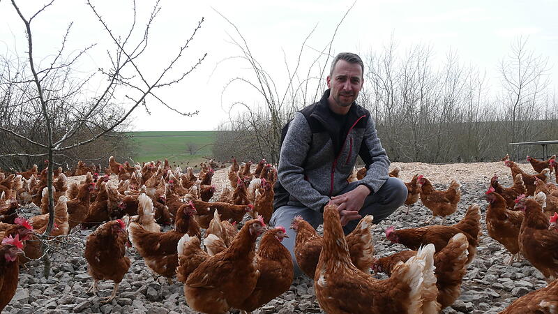 Frank Vogler h&auml;lt auch Freilandh&uuml;hner.