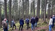 Waldbegang Modlos Waldbegang Modlos