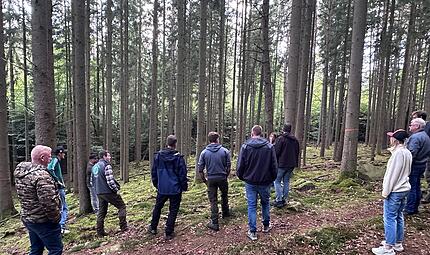 Waldbegang Modlos Waldbegang Modlos