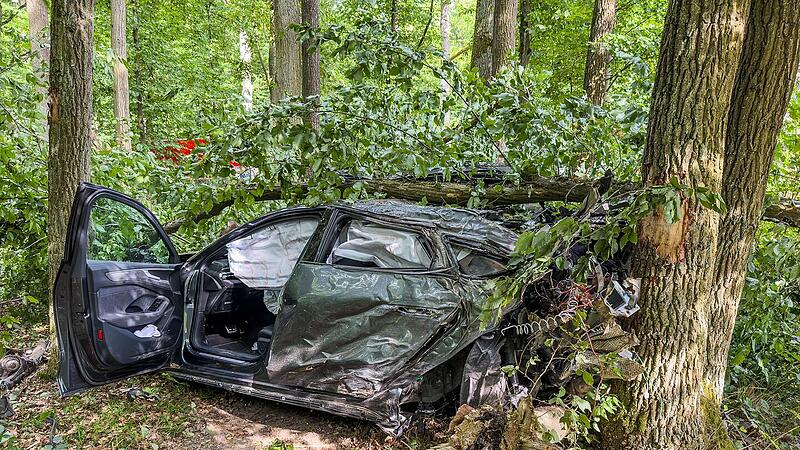 Forchheim: Autofahrer hinterlässt große Verwüstung - Bergung aufwendig Forchheim: Autofahrer hinterlässt große Verwüstung - Bergung aufwendig
