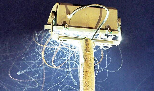 Unser Bild zeigt eine Baustellenlampe, die Insekten anzieht.