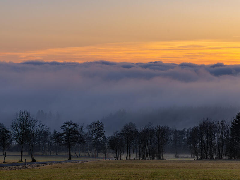 Das Bild ist am Farnsberg entstanden und zeigt den Blick in Richtung Schildeck und den Hochnebel, der den Gro&szlig;teil des Landkreises im Dauergrau gefangen hielt.