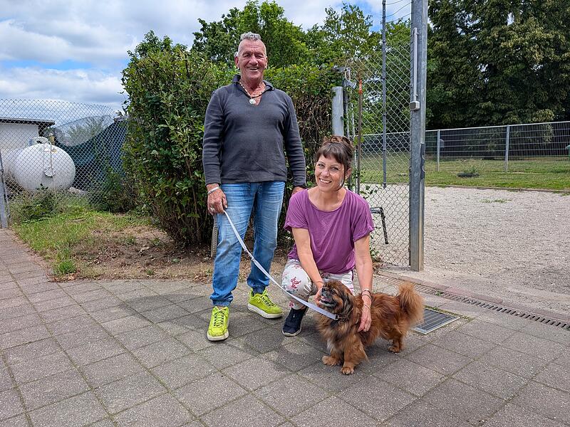 Tierheim Forchheim: Tiere suchen ein ZuhauseForchheim & Fr&auml;nkische Schweiz