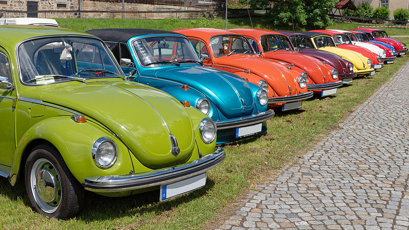 Die Welt des VW K&auml;fers ist bunt, wie dieses Bild von einem Oldtimertreffen beweist.