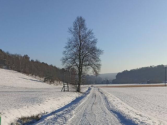 Leserfotos: So sch&ouml;n ist der Frankenwald im SchneeLeserfotos Schnee Januar 2026