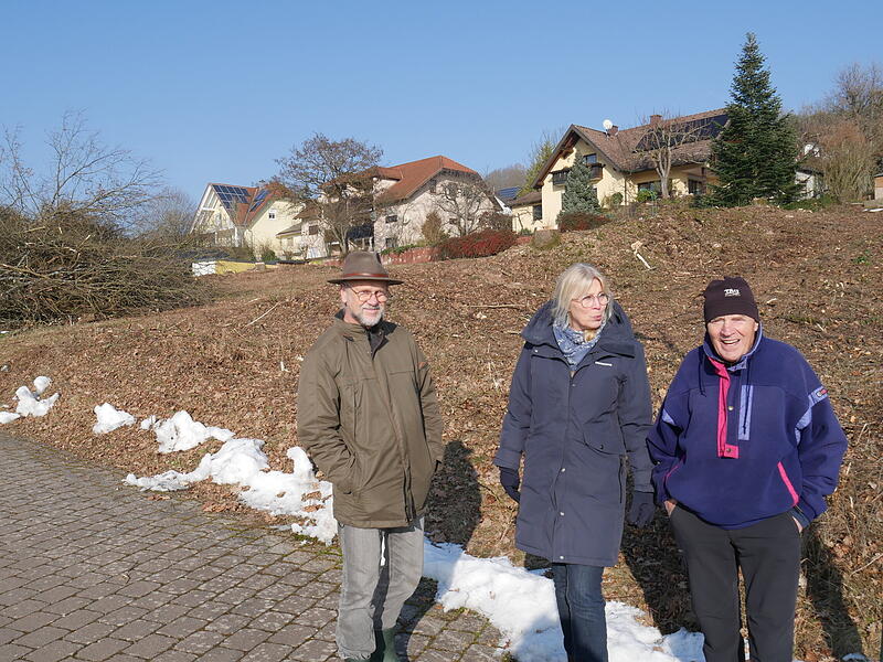 In Bad Bocklet wurden zwei Hecken gerodet.