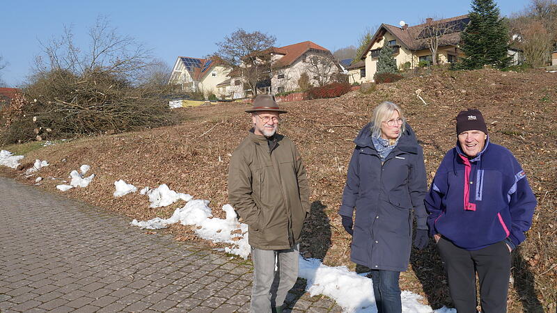 In Bad Bocklet wurden zwei Hecken gerodet.