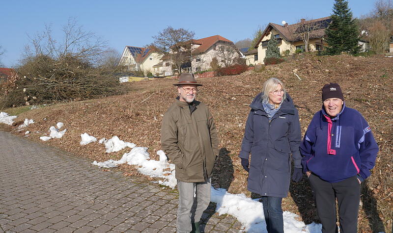 In Bad Bocklet wurden zwei Hecken gerodet.