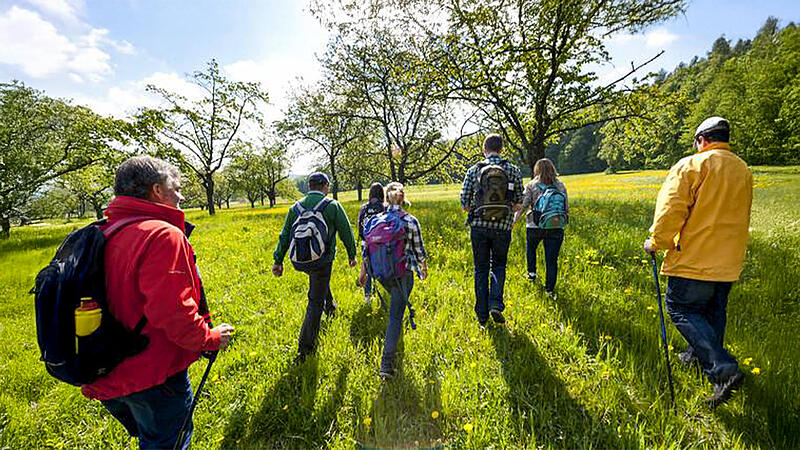 Das fr&uuml;hlingshafte Wetter an Pfingsten eignet sich perfekt f&uuml;r einen Ausflug  ins Gr&uuml;ne. Hier abgebildet ist eine malerische Tour im Aurachgrund zwischen H&ouml;fen, M&uuml;hlendorf, Walsdorf und Priesendorf.