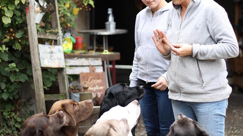 Die beiden Hundetrainerinnen und Verhaltenstherapeutinnen Laura Valtenmeier (links) und Anette Michler üben mit ihren Labrador-Retrievern. Die beiden Hundetrainerinnen und Verhaltenstherapeutinnen Laura Valtenmeier (links) und Anette Michler üben mit ihren Labrador-Retrievern.