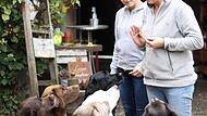 Die beiden Hundetrainerinnen und Verhaltenstherapeutinnen Laura Valtenmeier (links) und Anette Michler üben mit ihren Labrador-Retrievern.
