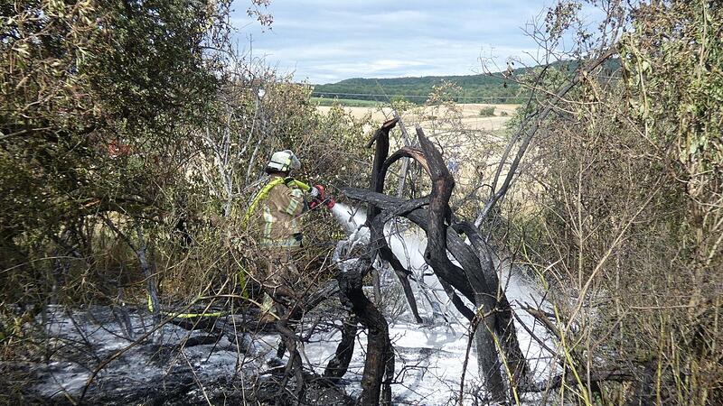 Über hundert Feuerwehrleute  kämpften gestern Abend nahe des Königsberger Stadtteils Junkersdorf gegen das Feuer-