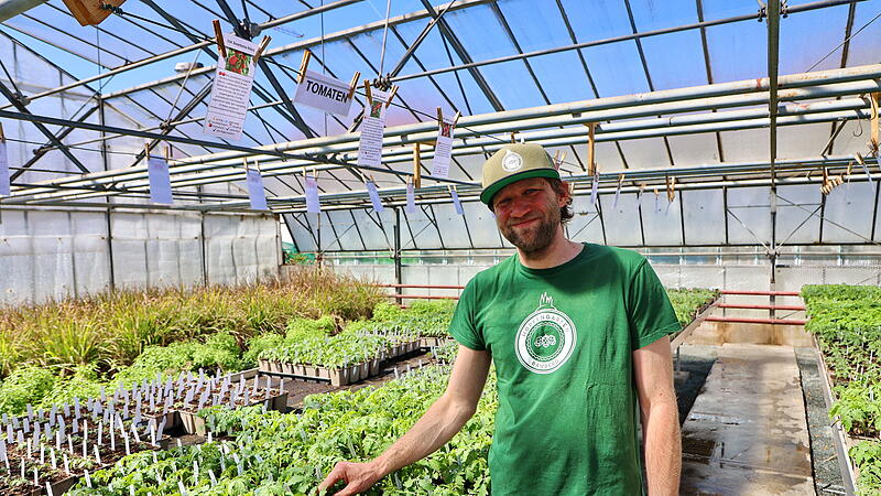 Die sch&ouml;nsten Osterbrunnen aus Bamberg und Umgebung