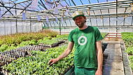 Junge Tomatenpflanzen, so weit das Auge reicht. Das Besondere: Im Bamberger Hopfengarten bietet Kris Emmerling samenfeste Sorten an &ndash; Rarit&auml;ten, wie man sie im Supermarkt nicht findet. Entdecken k&ouml;nnen Gartenliebhaber diese und viele weitere Besonderheiten am Tag der offenen G&auml;rtnereien am Sonntag, 26. April, in insgesamt zw&ouml;lf Betrieben.Die sch&ouml;nsten Osterbrunnen aus Bamberg und Umgebung