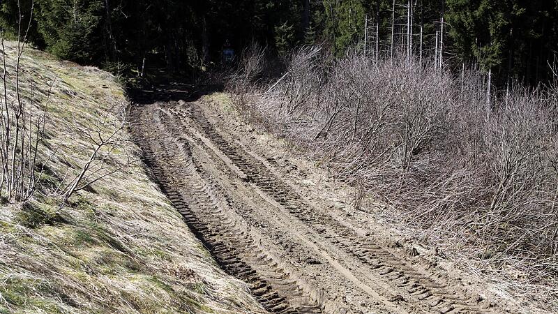 Wie hier auf dem Archivbild sind die Waldwege im Bereich der Stadt Wallenfels ziemlich ramponiert, deshalb will die Stadt nun den Waldwegebau voranbringen.