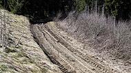 Wie hier auf dem Archivbild sind die Waldwege im Bereich der Stadt Wallenfels ziemlich ramponiert, deshalb will die Stadt nun den Waldwegebau voranbringen.