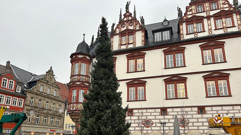 Coburger Weihnachtsbaum