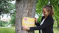 ILE-Managerin Miriam Mai befestigt eines der 500 Schilder, die f&uuml;r die Obstb&auml;ume in den zehn Mitgliedsgemeinden der Allianz B303+ bestellt wurden.