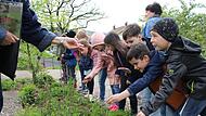 Die Bad Br&uuml;ckenauer Erstkl&auml;ssler begutachten die Pflanzen im Schulgarten.