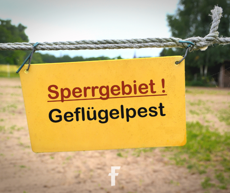 Die Geflügelpest breitet sich im Landkreis weiter aus.