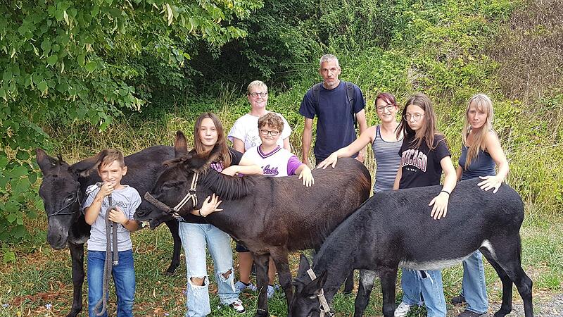 Die drei Eseldamen Leni, Jeany und Spirit mit ihrer Besitzerin Ingrid Papst (rechts) und deren Partner Rudolf Held (Vierter von rechts), sowie ihren Begleitern auf der Tagesetappe nach Reckendorf.