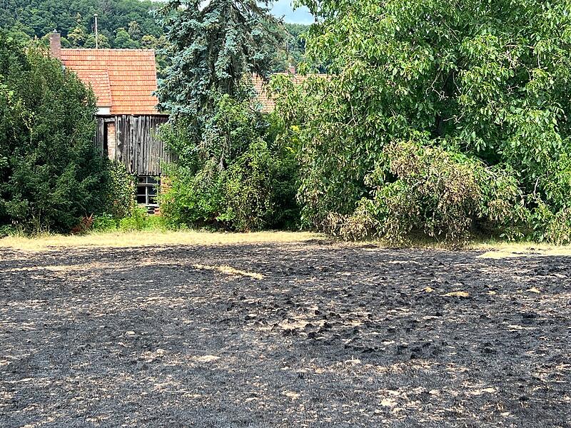 Grünfläche in Brand