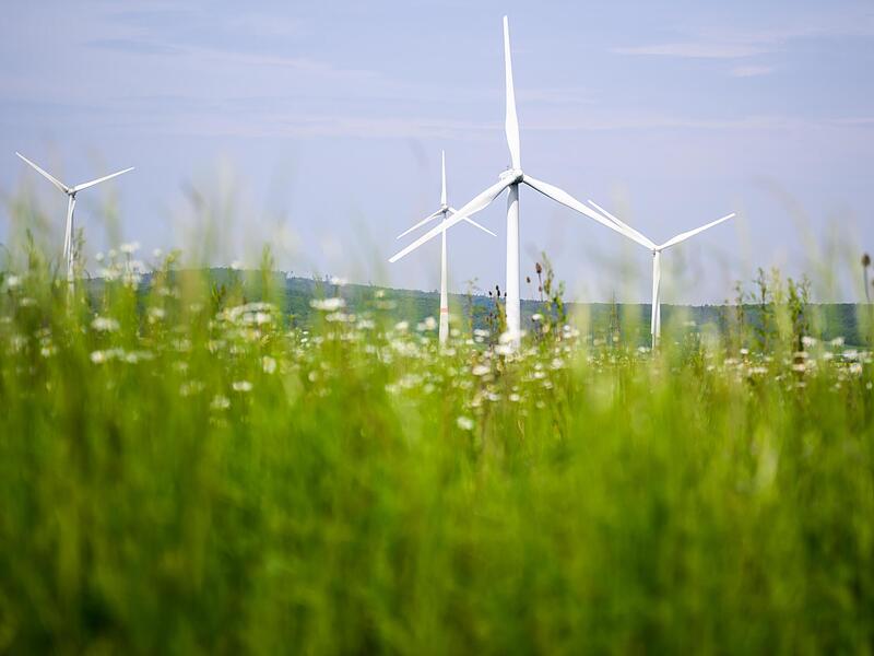 Mit einer neuen GmbH soll im Landkreis Bad Kissingen k&uuml;nftig gemeinschaftlich auf gr&uuml;ne Energie gesetzt werden.