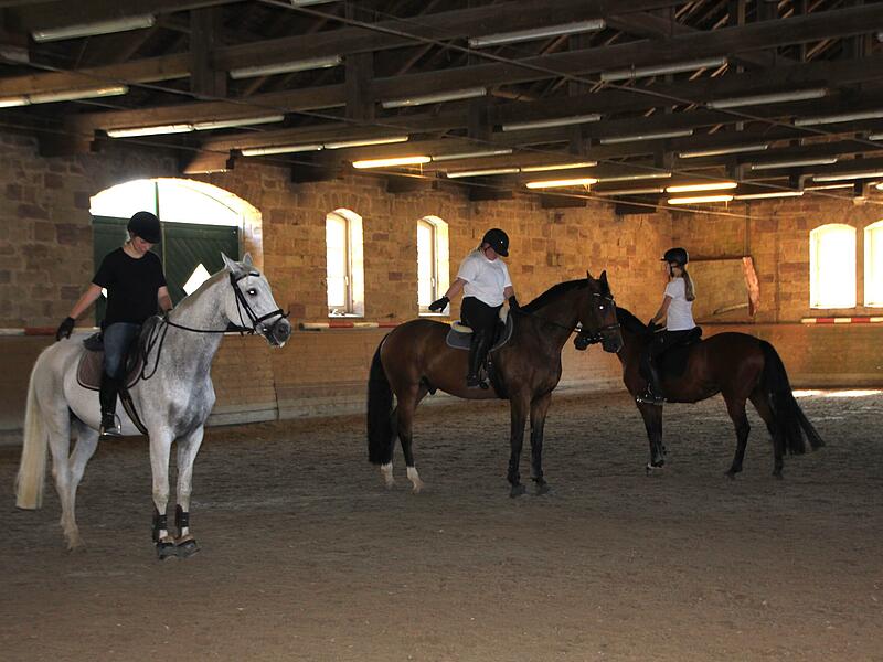 Probe Quadrille