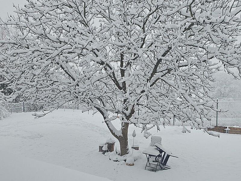 Schnee in Kulmbach: Die sch&ouml;nsten Leserfotos