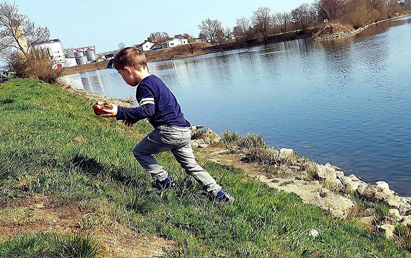 Hier am Hafenbecken in Haßfurt hat Felix aus Unterpreppach seine Flaschenpost ausgesetzt. Hier am Hafenbecken in Haßfurt hat Felix aus Unterpreppach seine Flaschenpost ausgesetzt.
