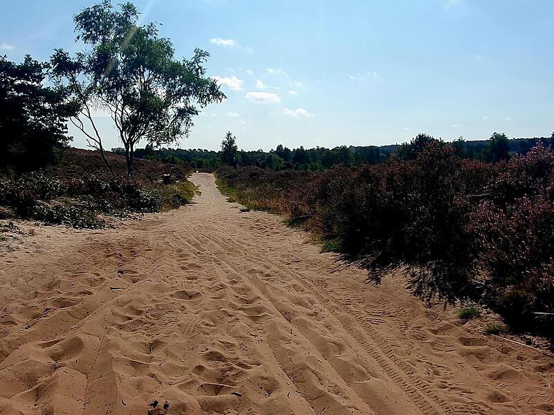 Eindrücke aus der Lüneburger Heide