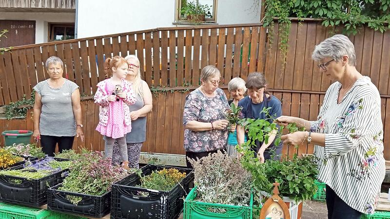 T&uuml;chtige Frauen des Obst- und Gartenbauvereins Windheim banden Kr&auml;uterb&uuml;schel zum Hochfest &bdquo;Mari&auml; Himmelfahrt&ldquo;.