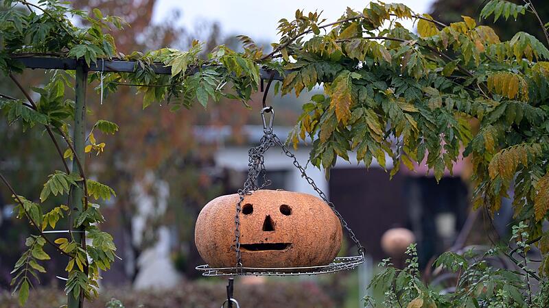 Halloween Halloween