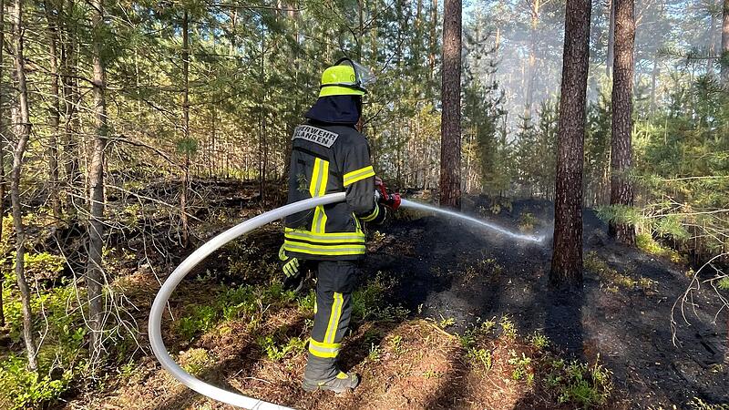 In der Region ist es in den vergangenen Wochen immer wieder zu Waldbr&auml;nden gekommen, wie hier im Tennenloher Forst bei Erlangen.