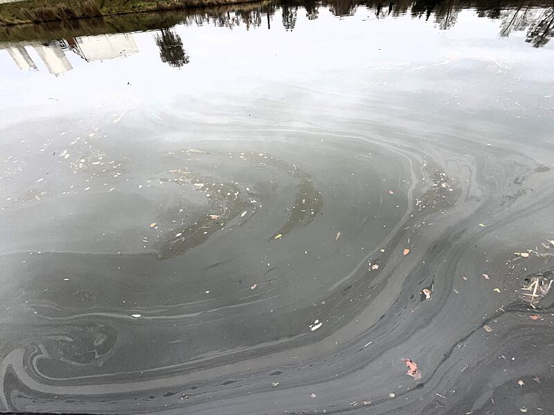 Der Ölschleier erstreckte sich im Bamberger Hafen auf rund 400 Quadratmetern. Der Ölschleier erstreckte sich im Bamberger Hafen auf rund 400 Quadratmetern.