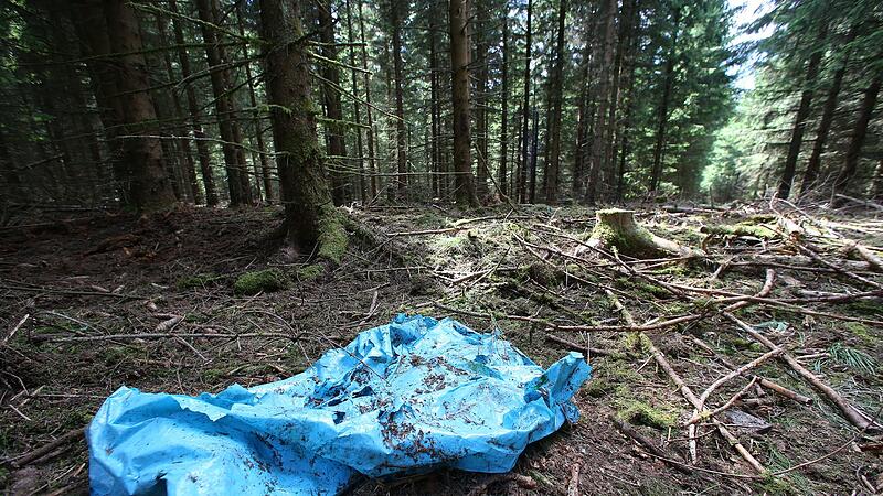 In diesem Waldstück in Thüringen wurden die sterblichen Überreste von Peggy gefunden.